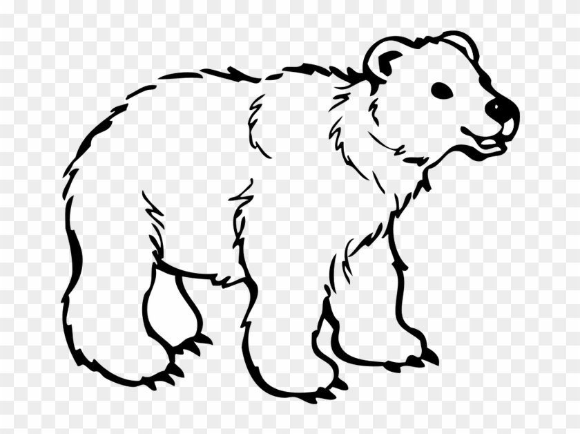 Outline Image Of Bear Clipart