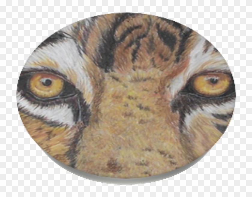 Eyes On The Prize, - Bengal Tiger Clipart #5926796