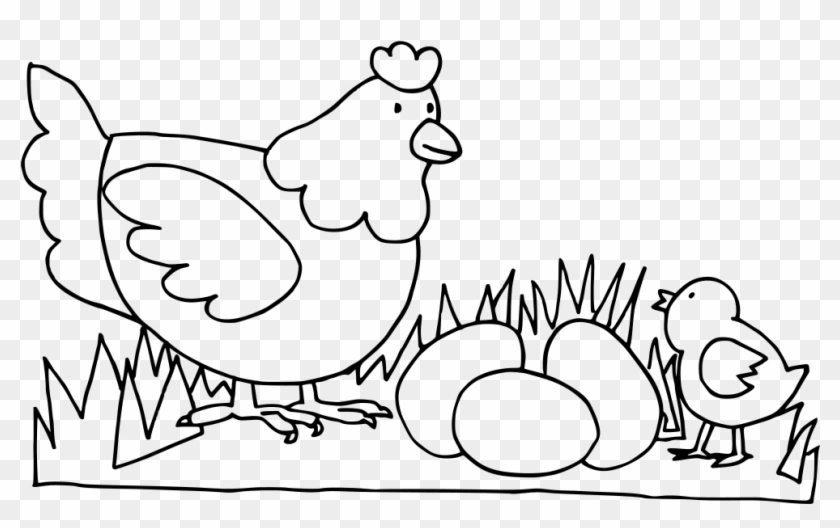 Download Png - ציור של תרנגולת לצביעה Clipart