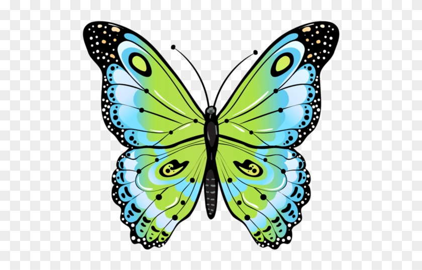 648c0825 Butterfly Images, Butterfly Wallpaper, Butterfly - Renkli Kelebek Resmi Png Clipart
