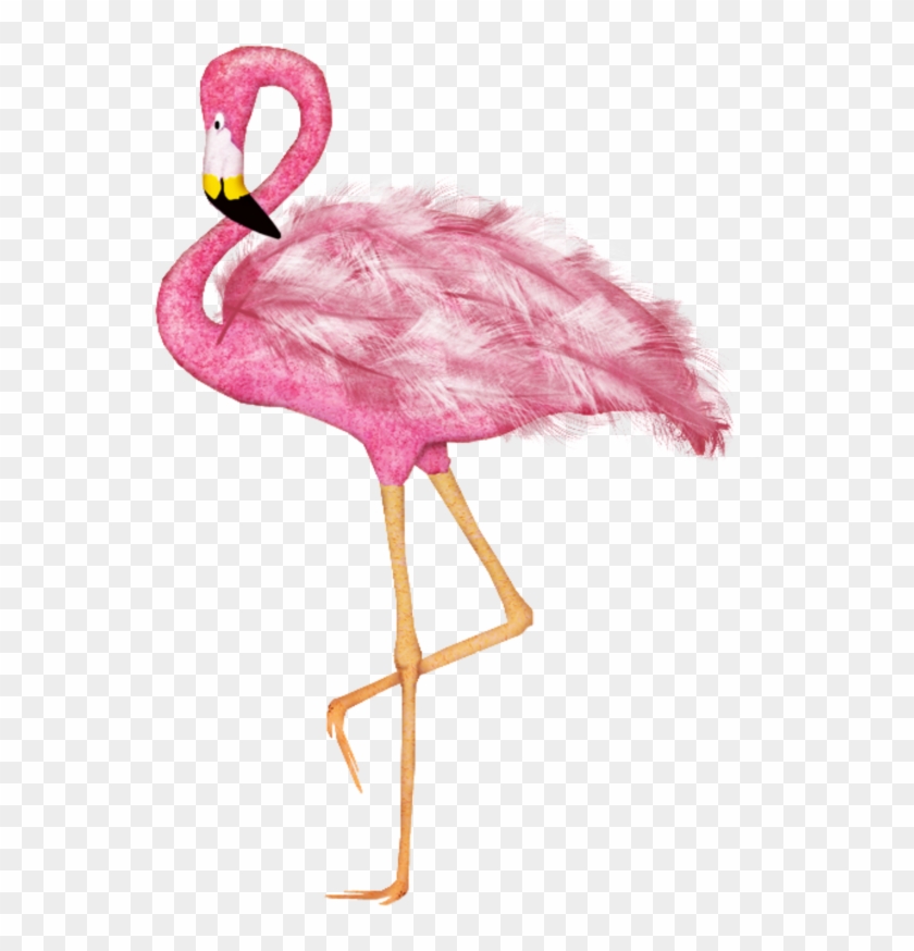 #mq #pink #flamingo #flamingos #bird - Elias Chatzoudis Clipart