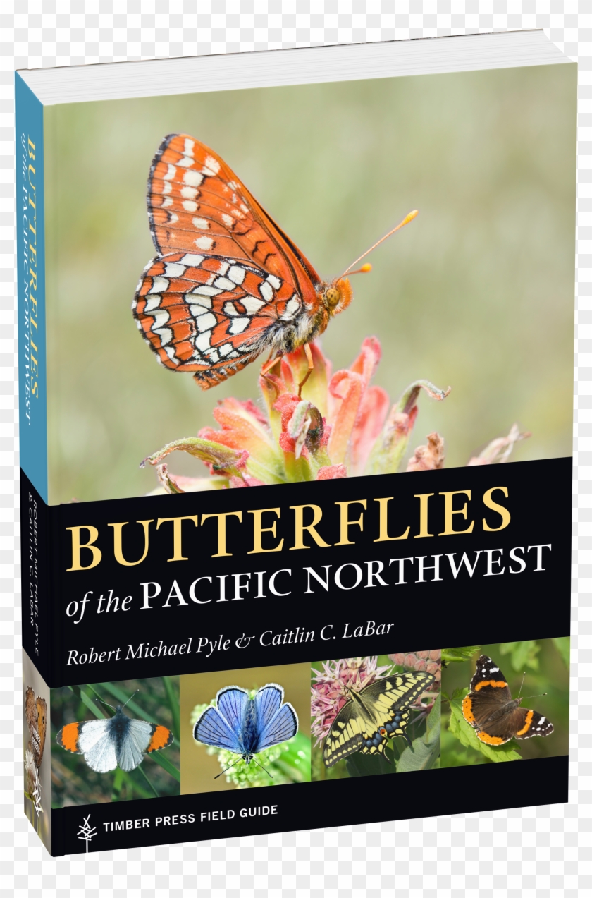 Birds Of The Pacific Northwest Timber Press Field Guide Clipart