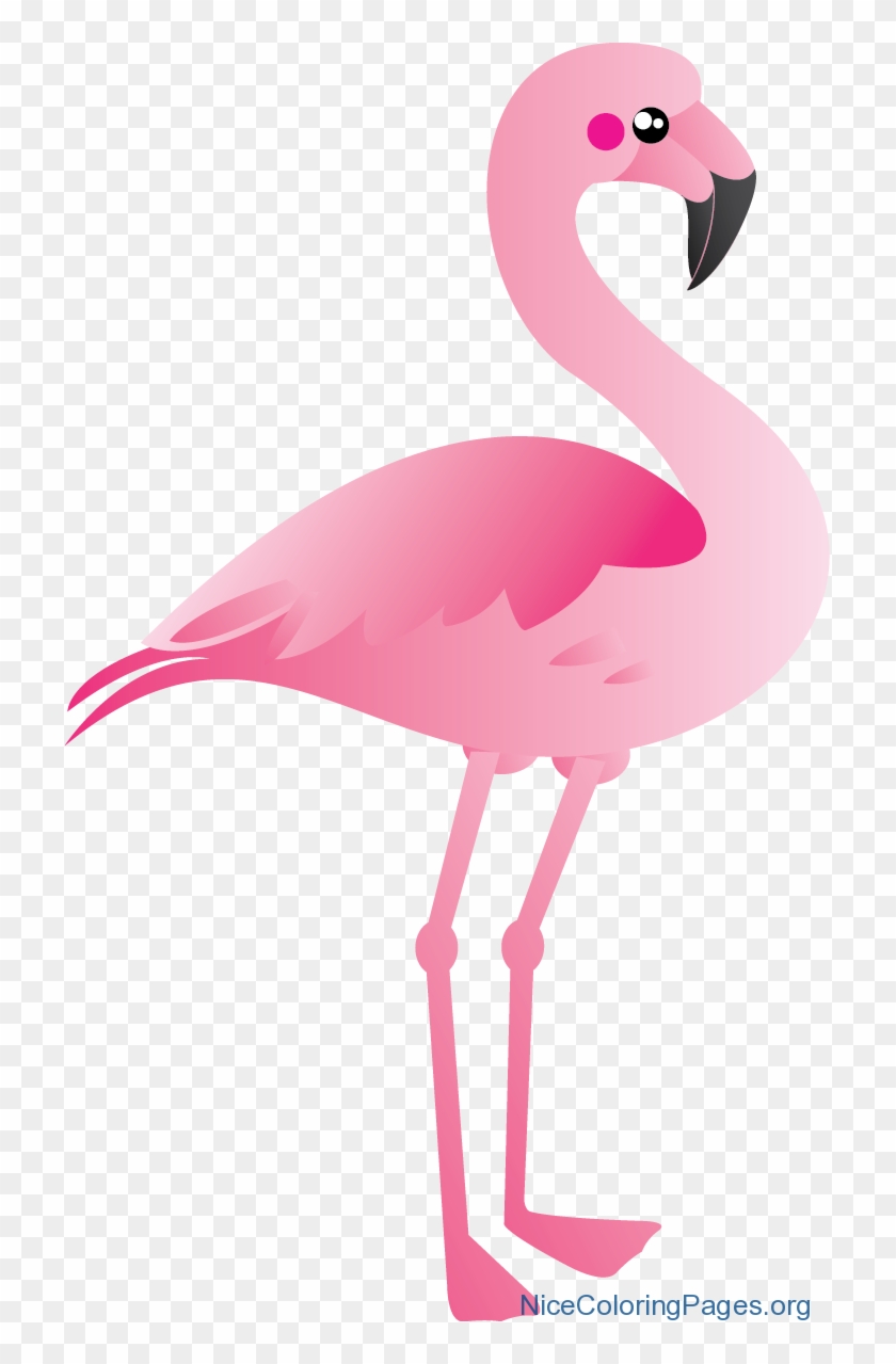 Flamingo Clipart Pink Flamingo - Flamingo Clipart - Png Download #5927562