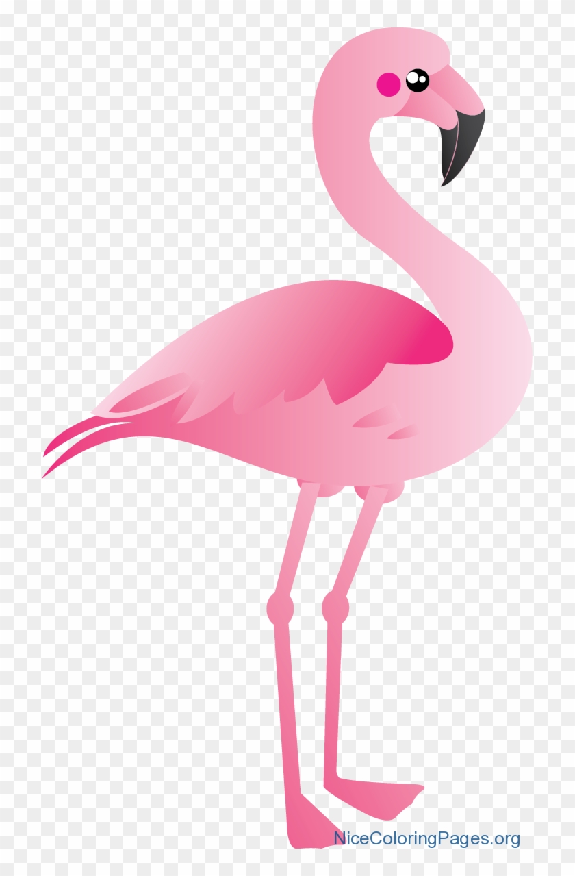 Flamingo Clipart Pink Flamingo - Flamingo Clipart - Png Download
