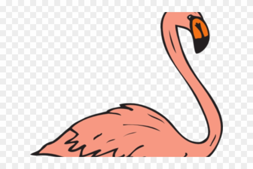 Pink Flamingo Cliparts - Flamingo Swimming Clipart - Png Download