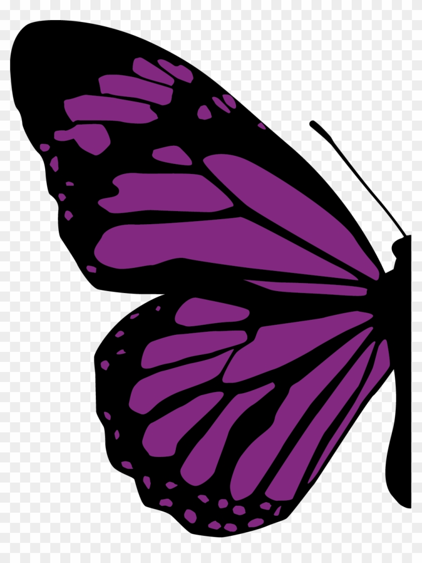 Butterfly 5k Run - Half Butterfly Clip Art - Png Download