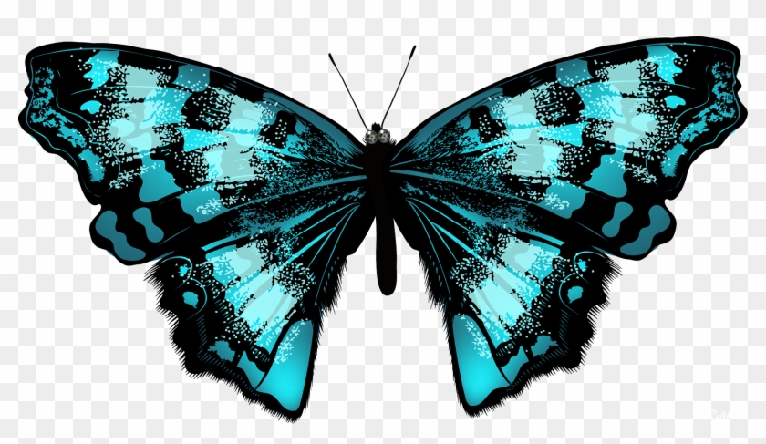 Butterfly Net Clipart - Яркие Бабочки Png Transparent Png #5928041
