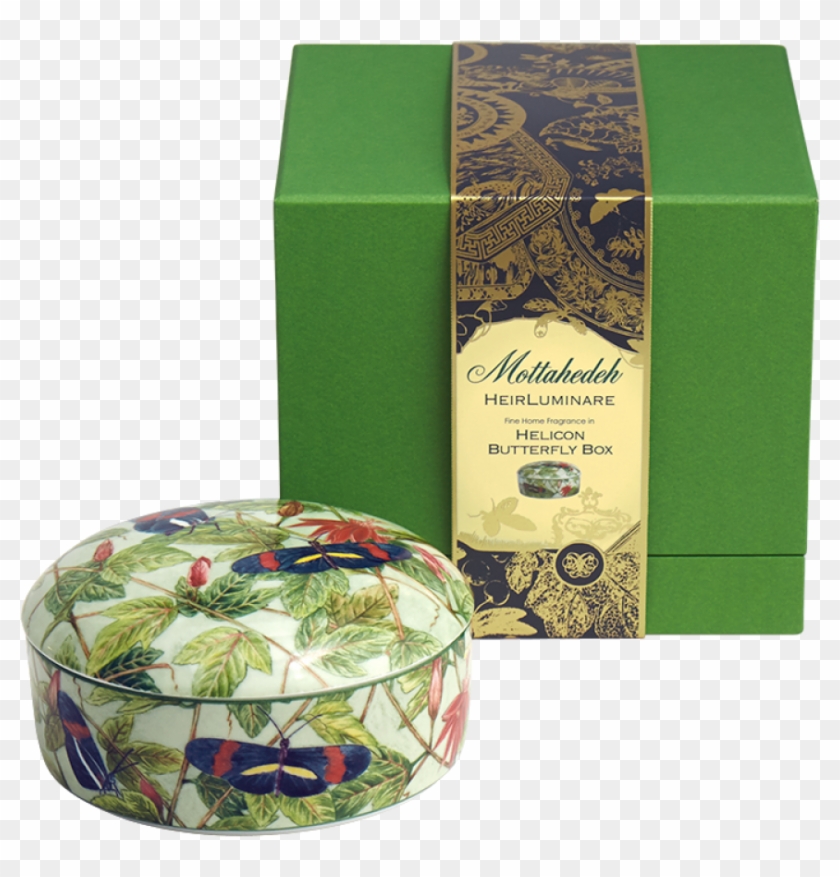 S413v-box - Kiwifruit Clipart