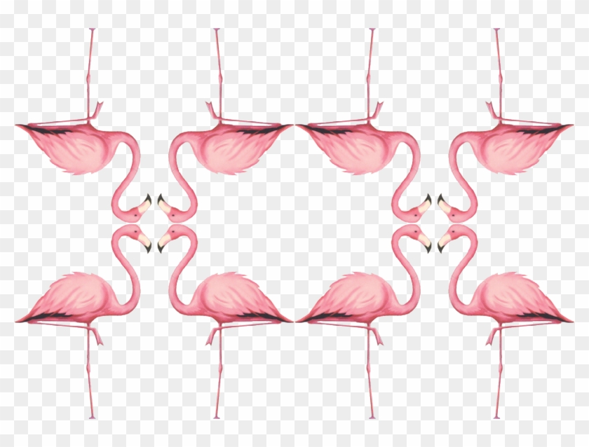 Greater Flamingo Clipart #5928123