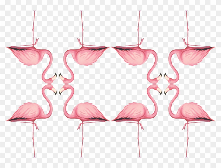 Greater Flamingo Clipart