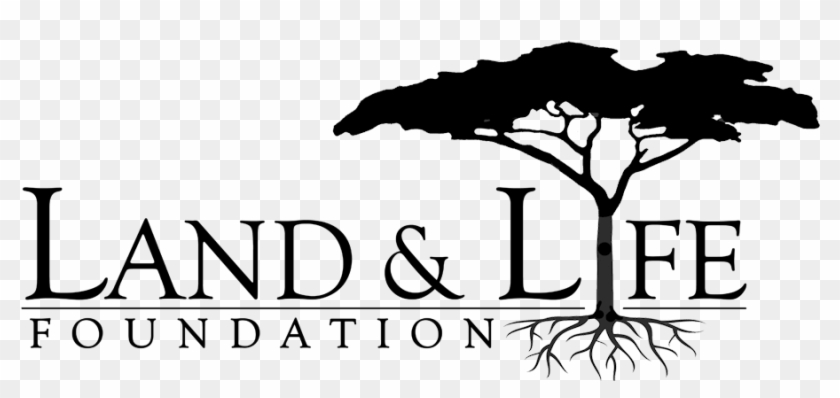 2017 Mara North Conservancy All Rights Reserved - Hats Off To You Clip Art - Png Download