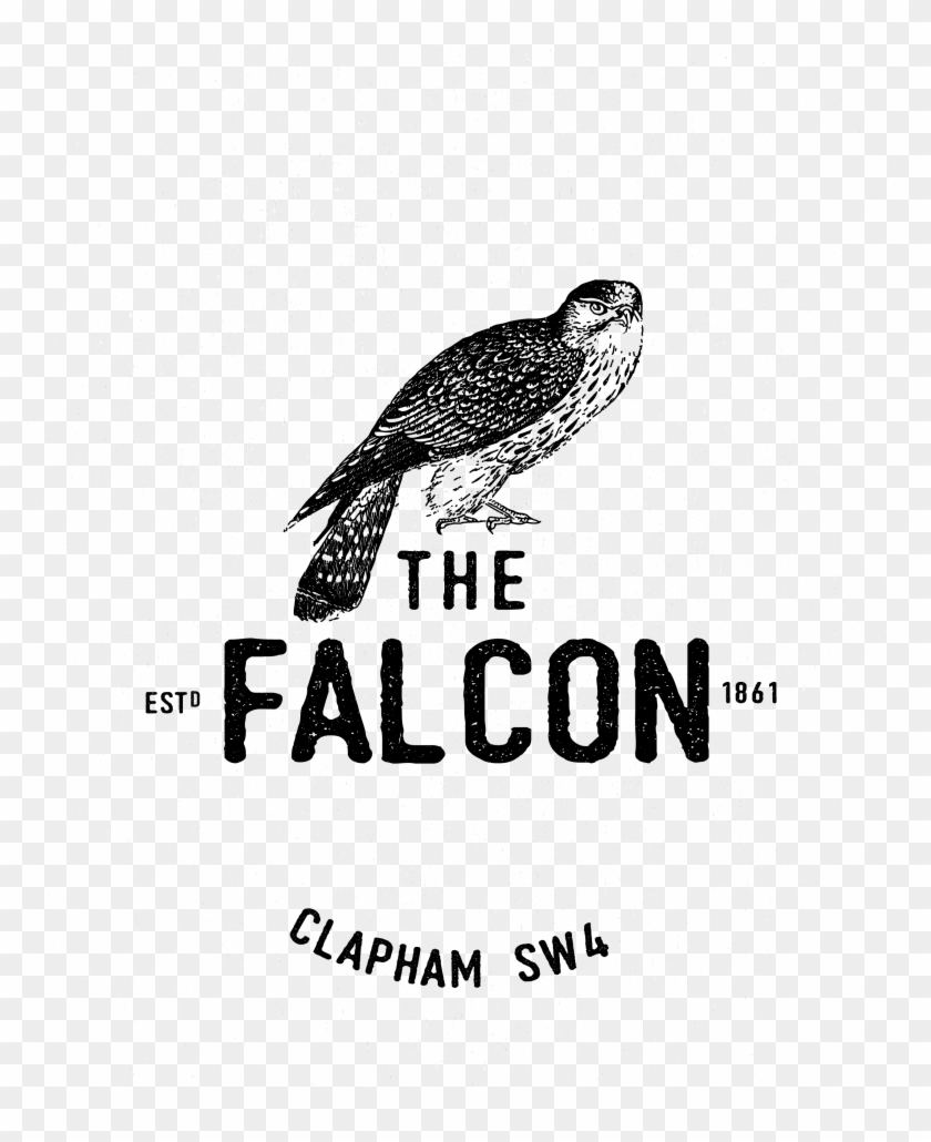 Beak, Bird Of Prey, Bird, Fauna Png Image With Transparent - Loggerhead Sea Turtle Clipart #5929451