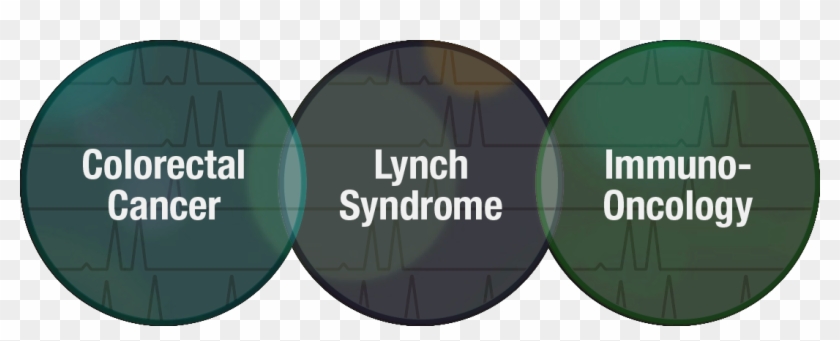 Msi Circles - Circle Clipart