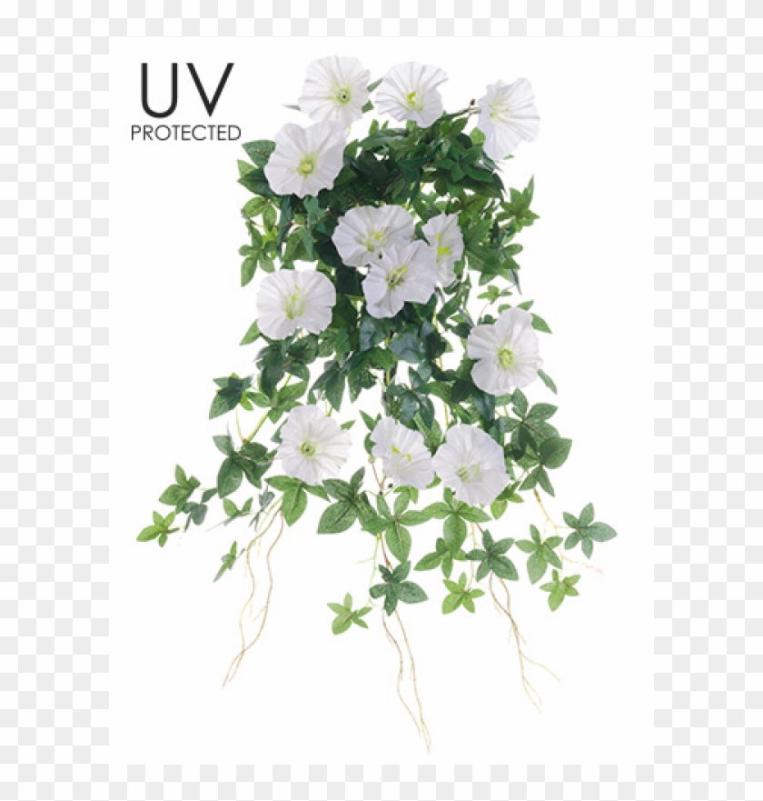 20" Uv Protected Morning Glory Hanging Bush Cream - Bouquet Clipart #5930457