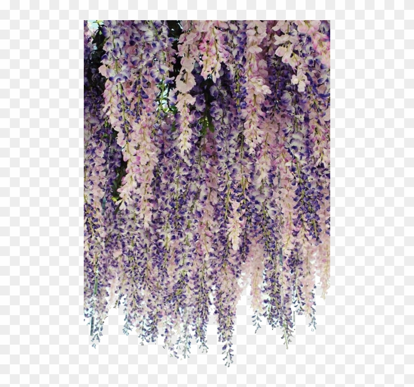 Bean Signature Cascading Flowers, Purple Flowers, Lavender - Hanging Lavender Clipart