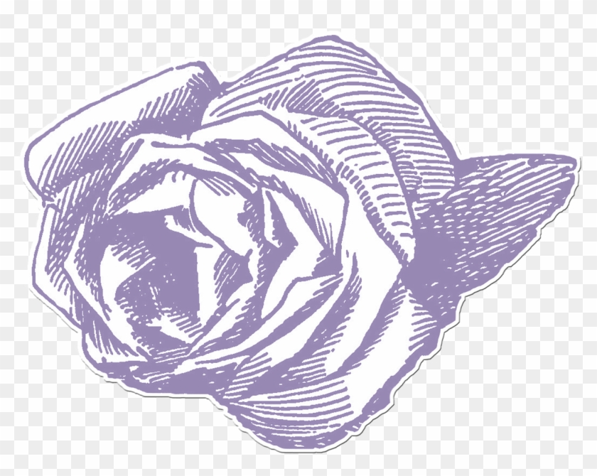 Elements Png Scrapbook Clipart