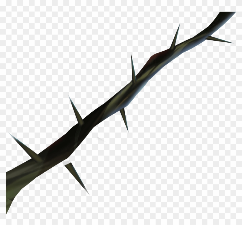 Thorns, Spines, And Prickles Clipart