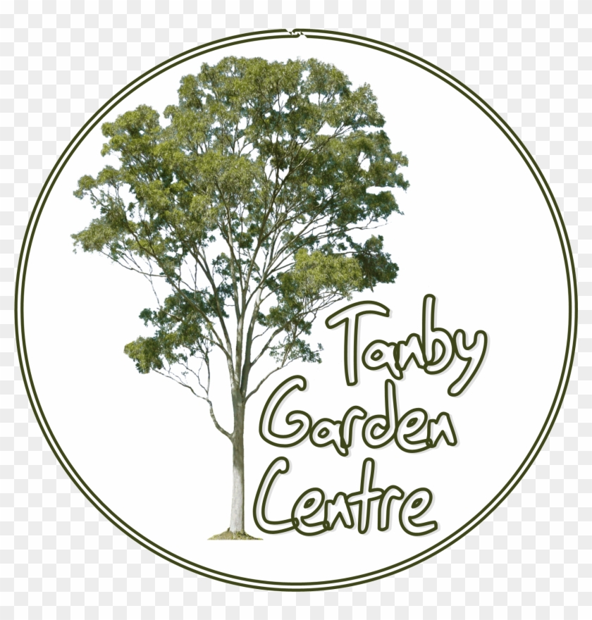 Tanby Garden Centre The Capricorn Coast Nursery And - Tanby Garden Centre Clipart #5932329