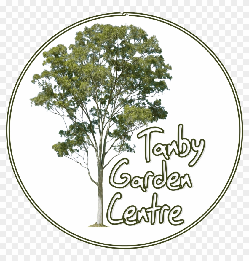 Tanby Garden Centre The Capricorn Coast Nursery And - Tanby Garden Centre Clipart