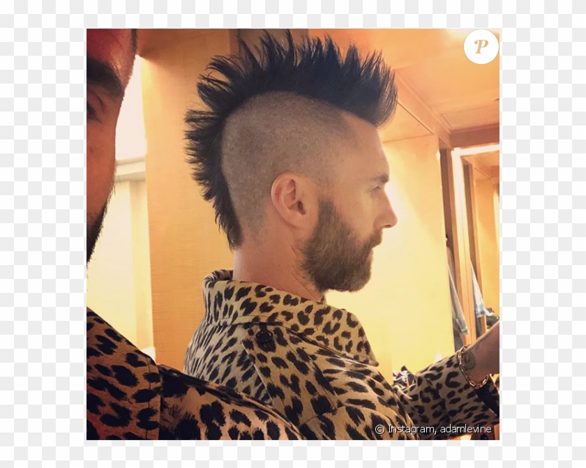 Adam Levine Sur Instagram- 14 Mai - Adam Levine Clipart