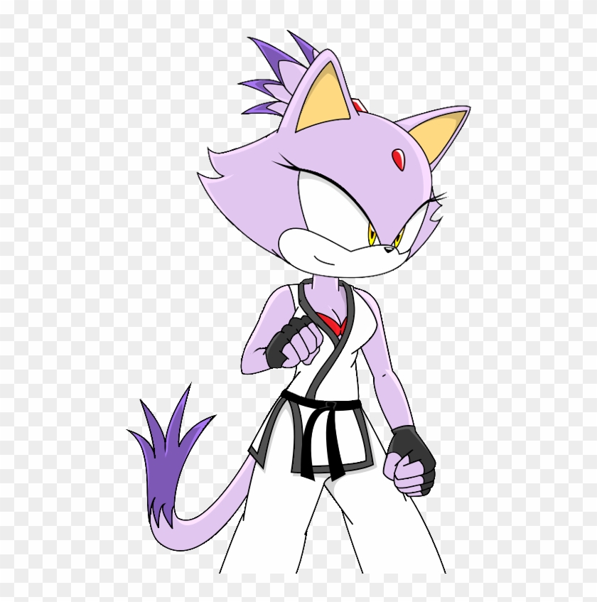Tae Kwon Blaze The Cat Honfox Martial Ⓒ - Amy Rose Kickboxing Clipart