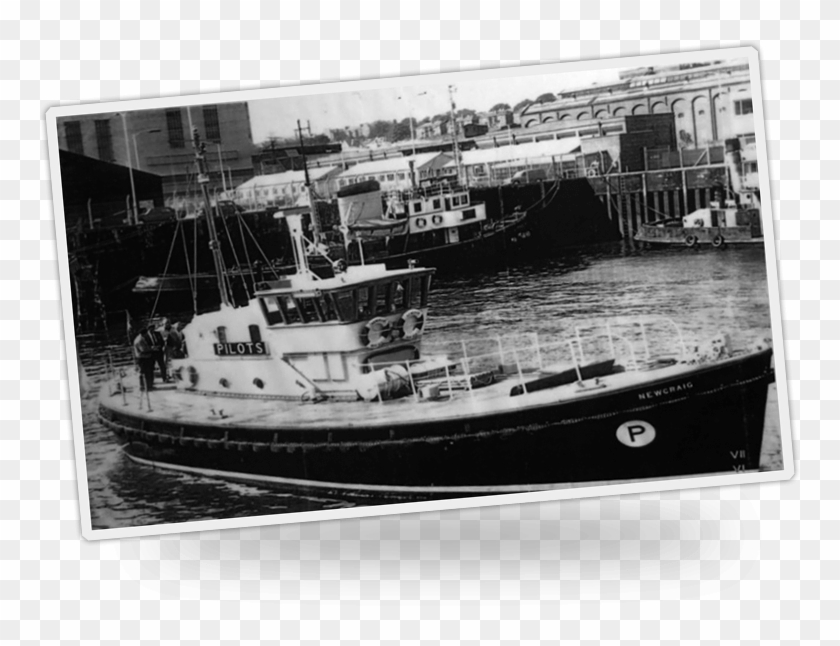 The Newcraig - Clyde Steamer Clipart #5934810