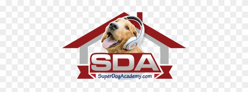 Sda Superdogacademy - Dog Catches Something Clipart #5936788