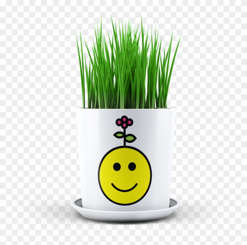 Happy Emoji Planter - Smiley Clipart #5936866