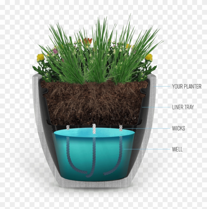 Image For Waterwell Planters' Linkedin Activity Called - Flowerpot Clipart #5938284