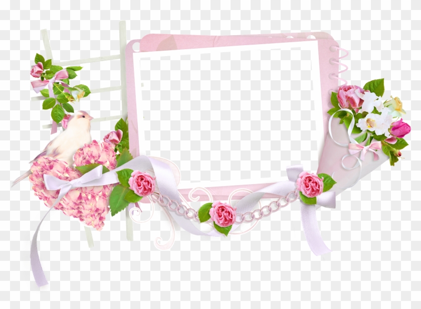Picture Frames, Garden Roses, Photoscape, Pink, Picture - Good Morning Wednesday Wishes Clipart #5939216