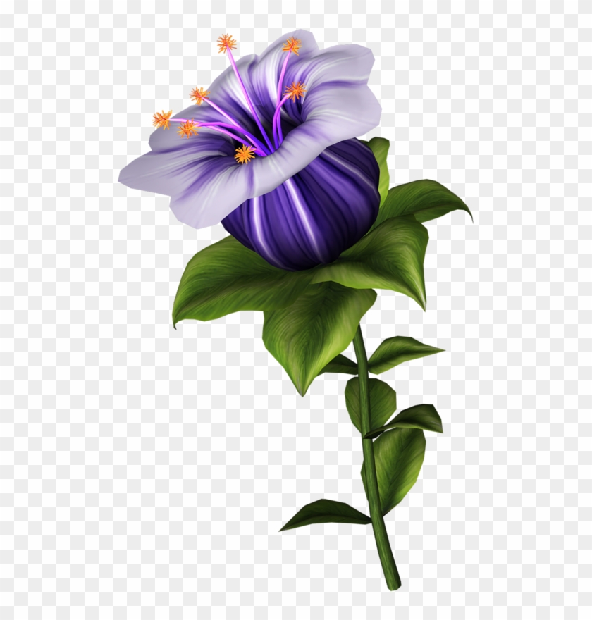 Botanical Flowers, Botanical Art, Floral Drawing, Flower - Lily Family Clipart #5943557