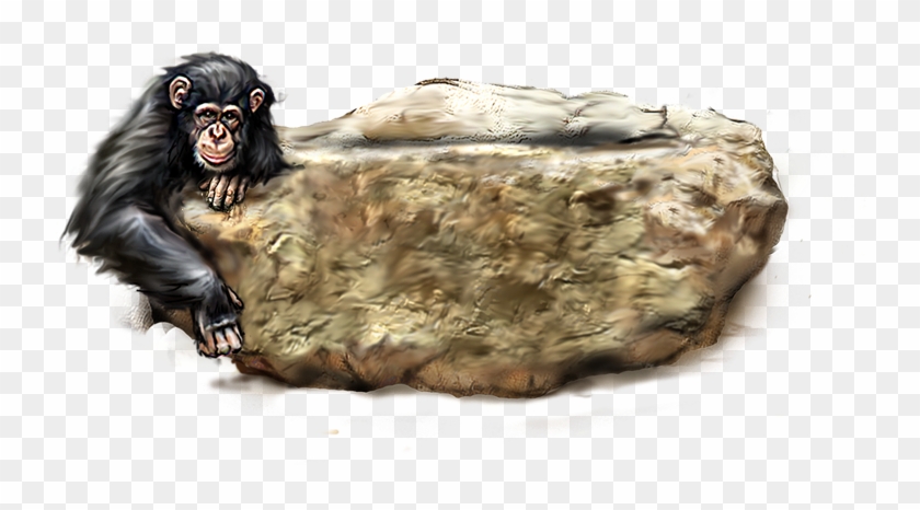 Orangutan Png Picture - Cheetah Clipart