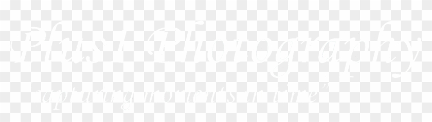 Plus1 Photography - Calligraphy Clipart #5945003