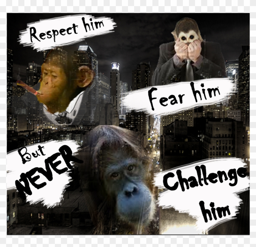 Orangutan 3 - New York City Clipart #5945069