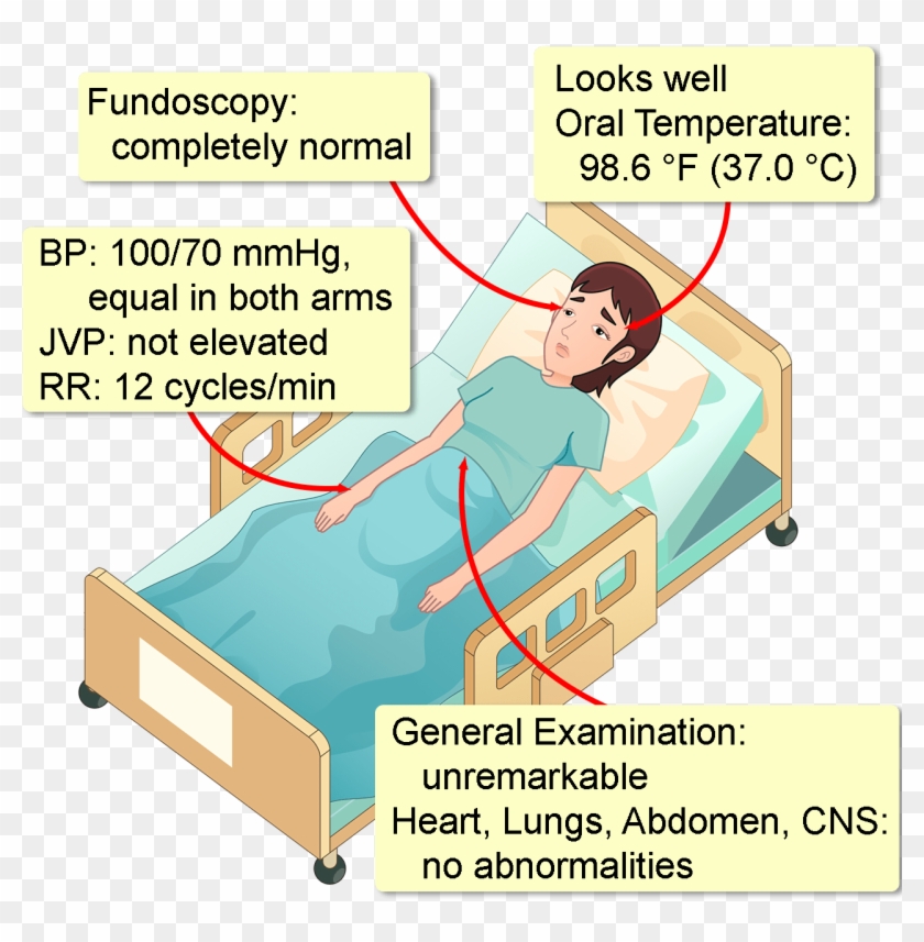 Her Medical, Surgical, And Family Histories Are Completely - Bed Frame Clipart #5945121