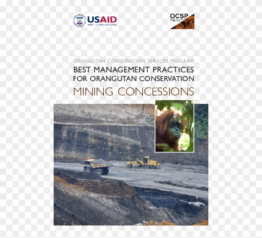 Pdf - Orangutan Clipart