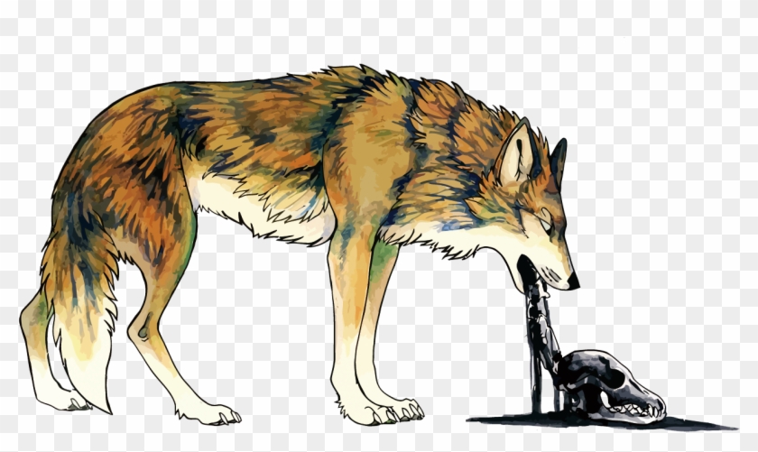 Coyote Dog Vomiting Illustration - Coyote On Vector Clipart #5945814