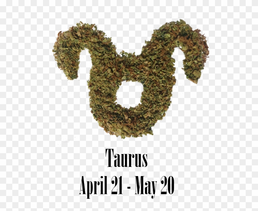 Stoner Aries Monthly Horoscope - Moss Clipart #5946110