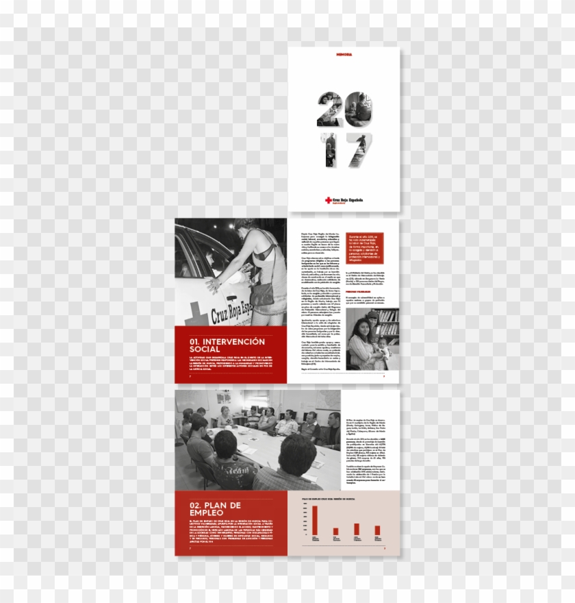 Maquetación Y Diseño De La Memoria Anual De La Fundación - Flyer Clipart