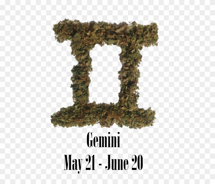 Stoner Gemini Monthly Horoscope - Tree Clipart