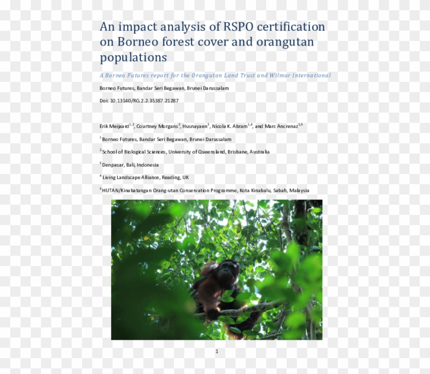 Pdf - Macaque Clipart