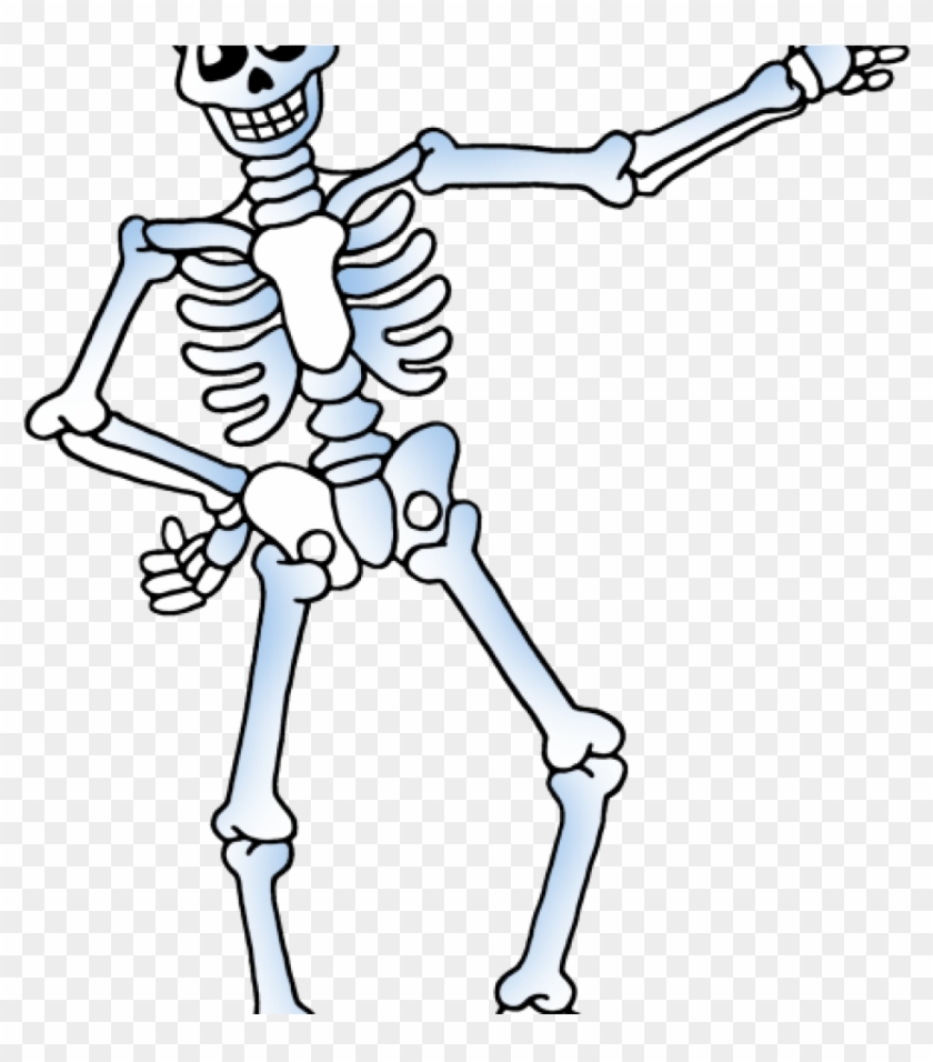 Skeleton Clipart Transparent Background - Png Download #5949543