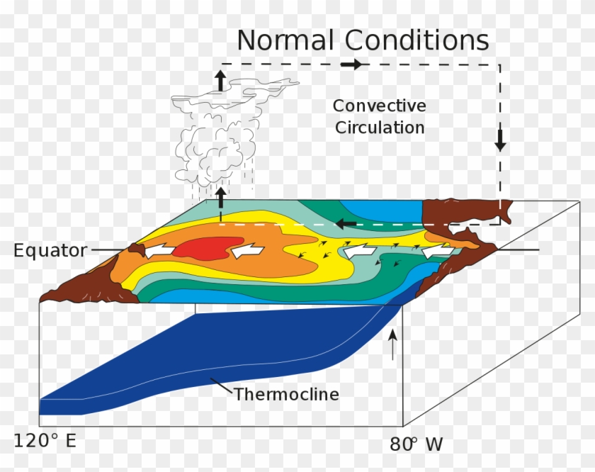 La Nina Normal Conditions Clipart