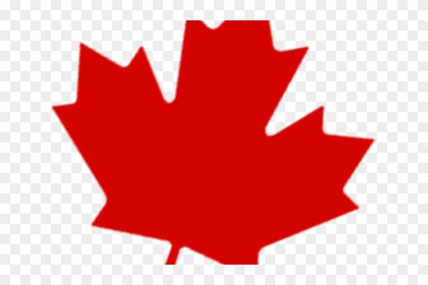 Maple Leaf Clipart Single Green Leave - Red Maple Leaf Clip Art - Png Download