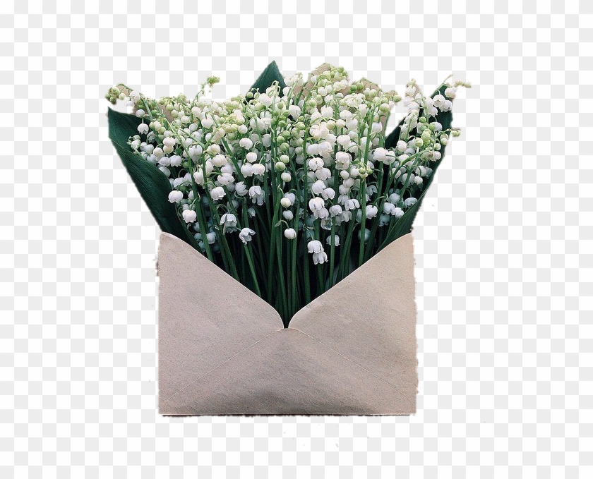 Image Image - Lily Of The Valley Clipart #5952949