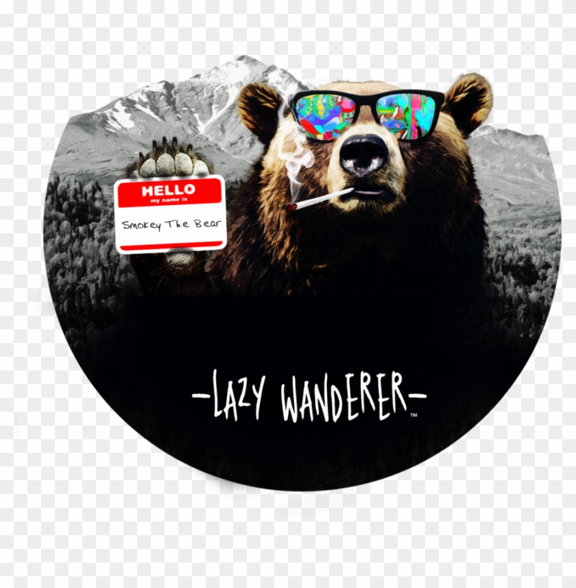 Smokey The Bear Tee , Png Download - Grizzly Bear Clipart #5954735