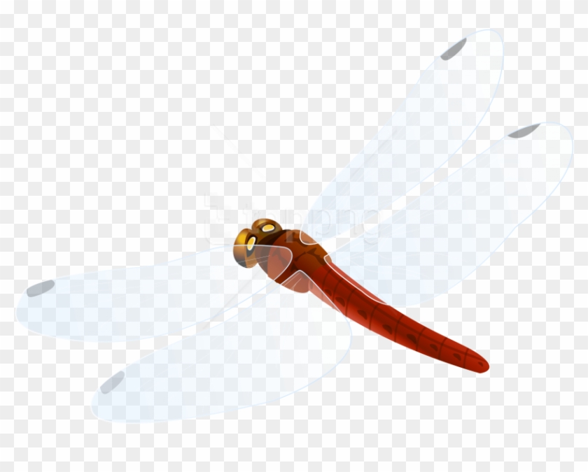 Free Png Download Red Dragonfly Clipart Png Photo Png - Hunting Knife Transparent Png #5956022