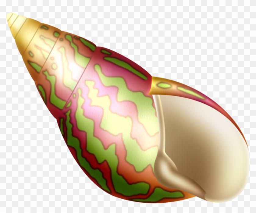 Clip Free Fundo Do Mar Pinterest Album Clipartseashellsnautical - Illustration - Png Download