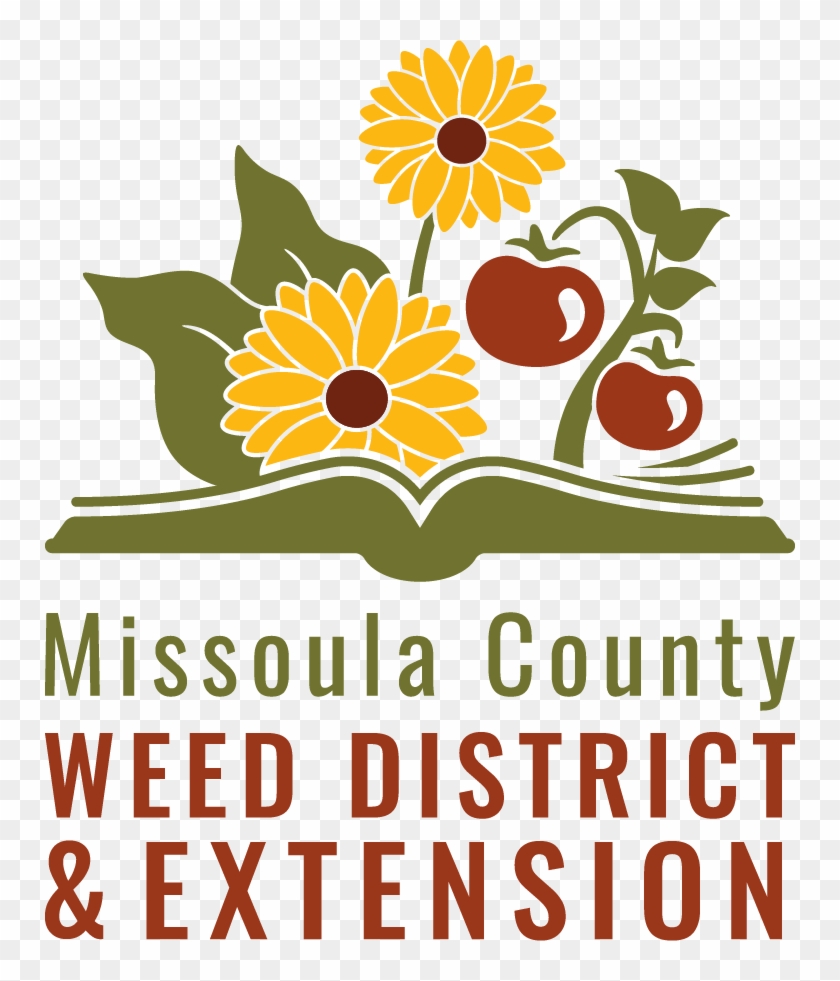 Sunflower Clipart #5958872