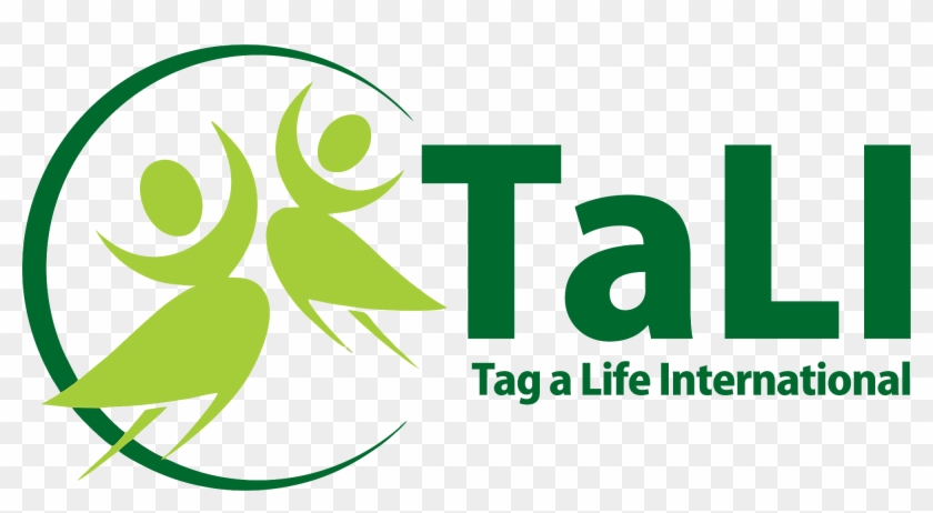 Graphic Design Clipart #5960263